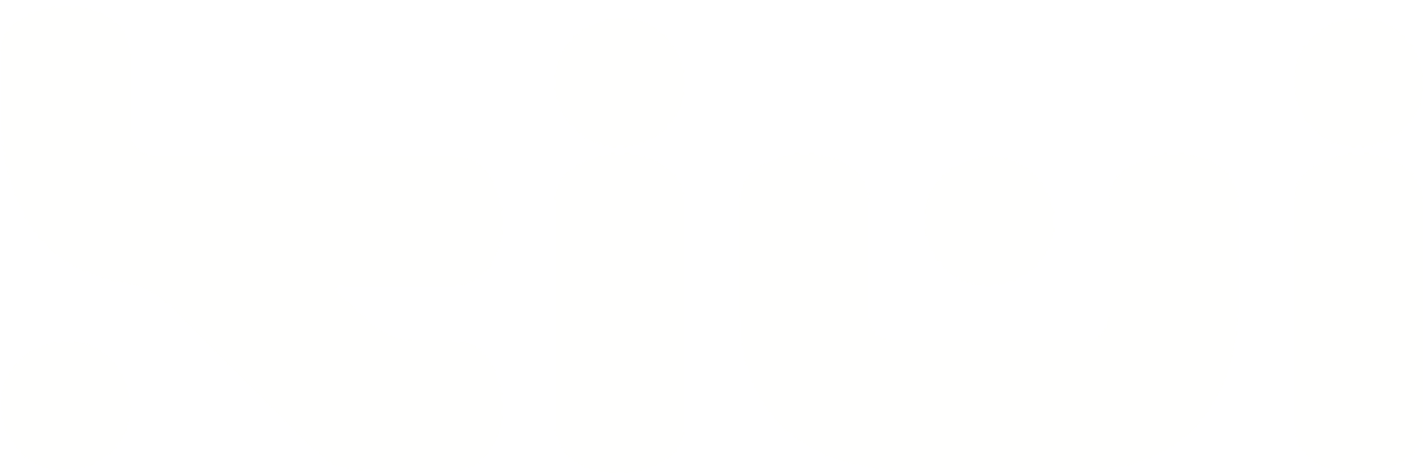 Servicios Kiwi Logo